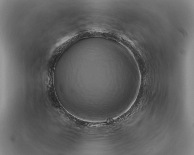 X0000113271303200909241535