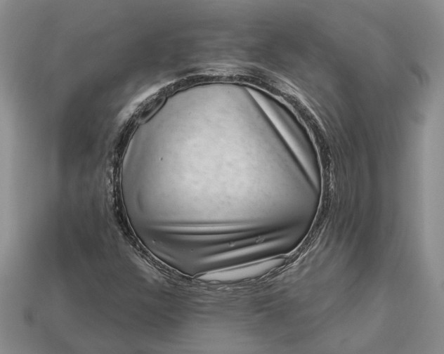 X0000113271304200909241535