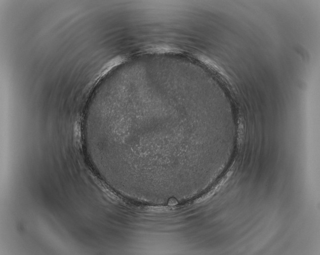 X0000113271305200909241535