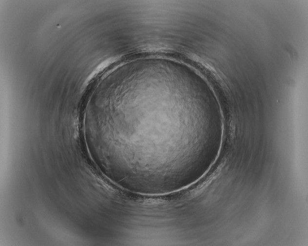 X0000113271306200909241535