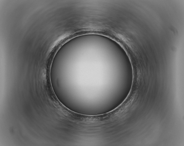 X0000113271307200909241535