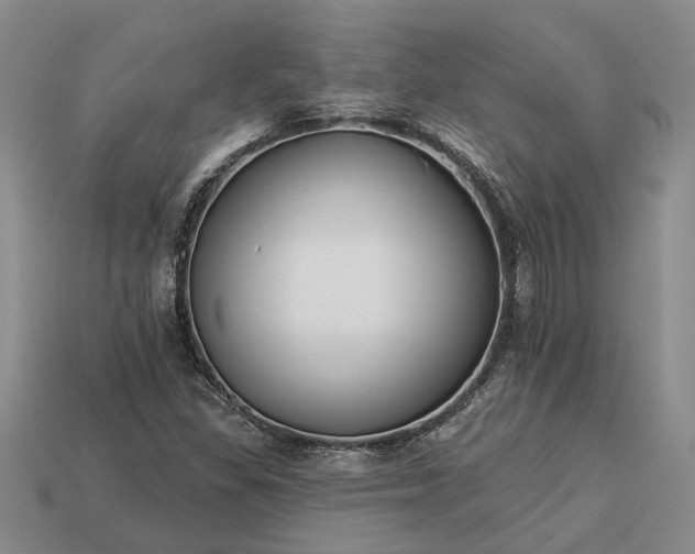 X0000113271309200909241535