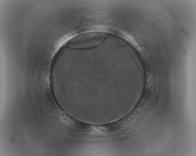 X0000113271312200909241535