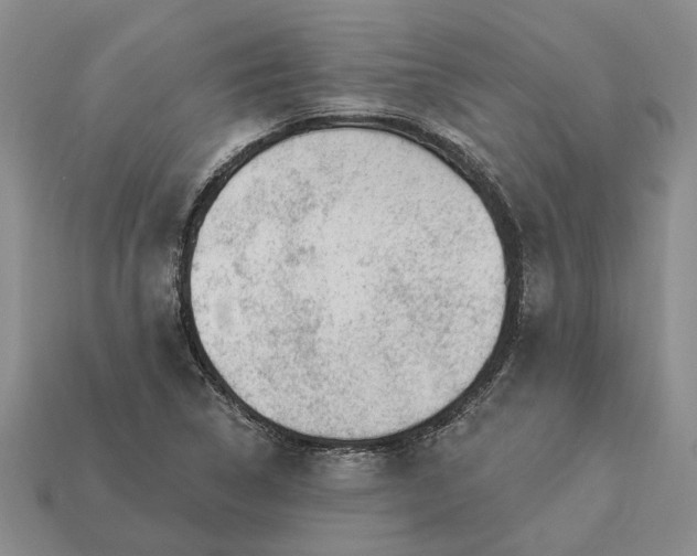 X0000113271314200909241535