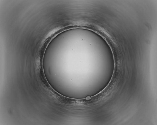 X0000113271315200909241535