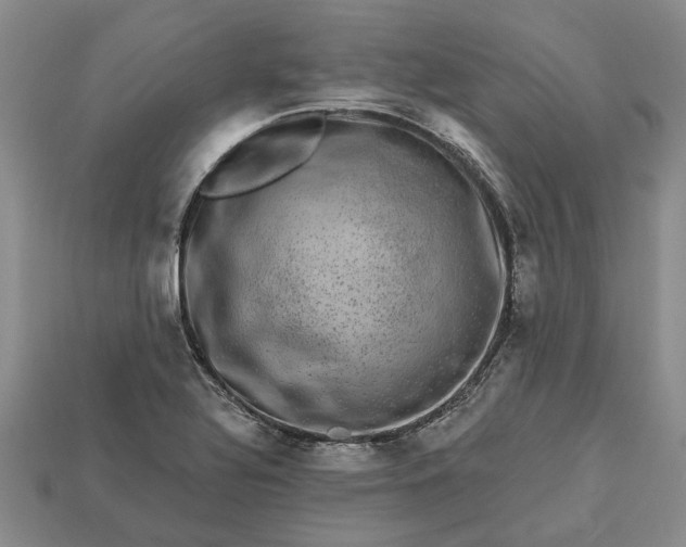 X0000113271320200909241535
