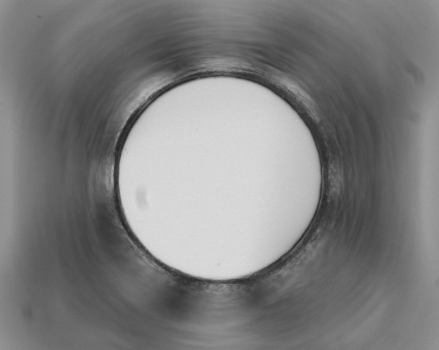 X0000113271322200909241535