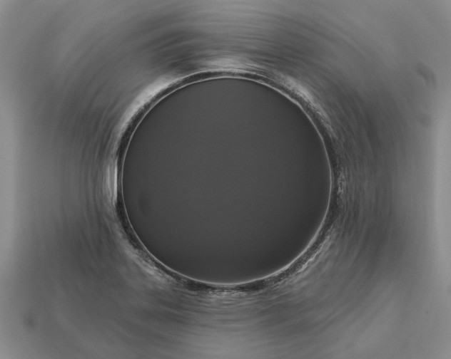X0000113271323200909241535