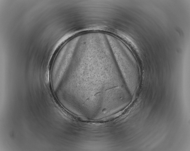 X0000113271324200909241535