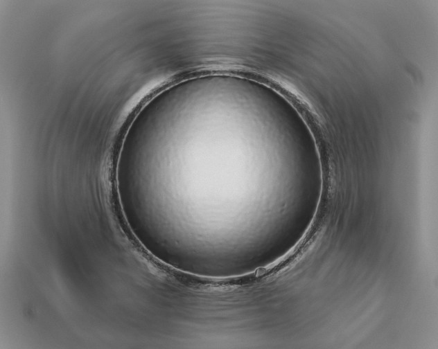 X0000113271325200909241535