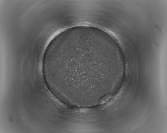 X0000113271326200909241535