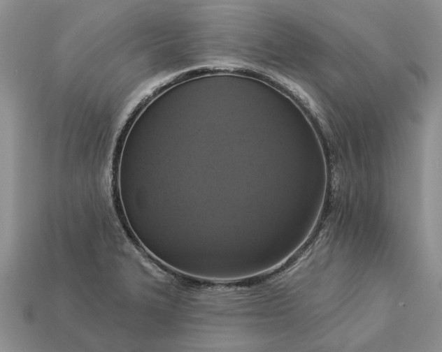 X0000113271327200909241535