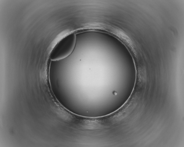 X0000113271328200909241535