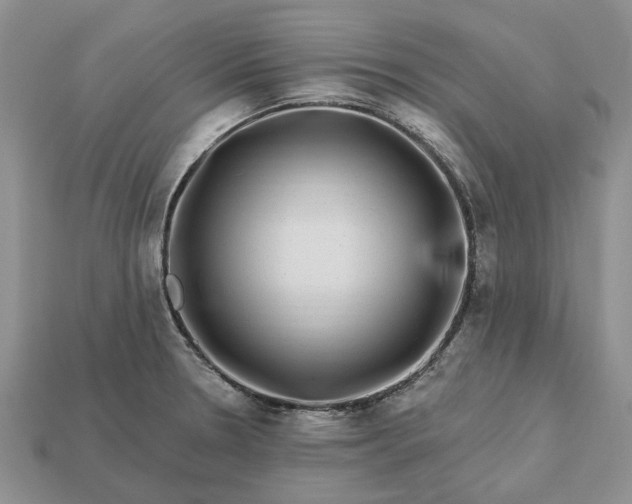 X0000113271330200909241535