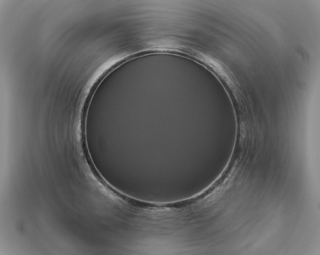 X0000113271331200909241535