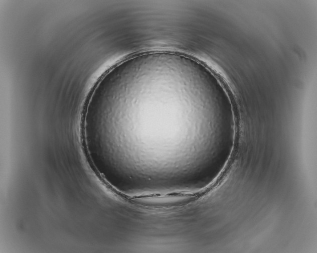 X0000113271333200909241535