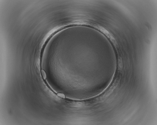 X0000113271334200909241535