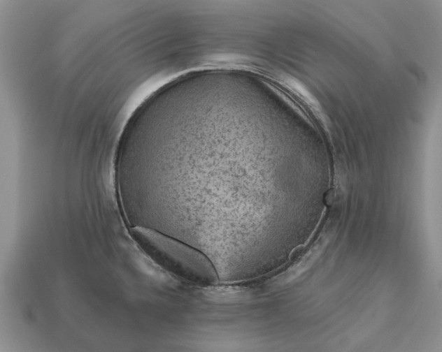 X0000113271336200909241535