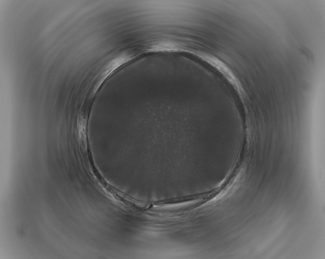 X0000113271337200909241535