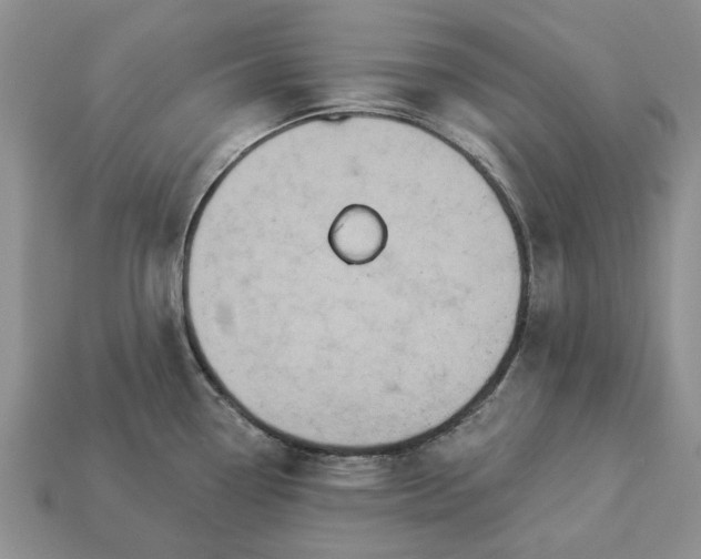 X0000113271338200909241535