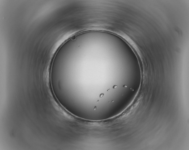 X0000113271341200909241535