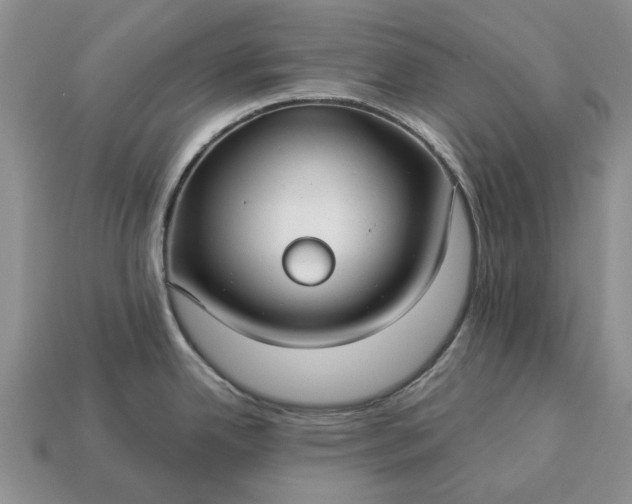 X0000113271342200909241535