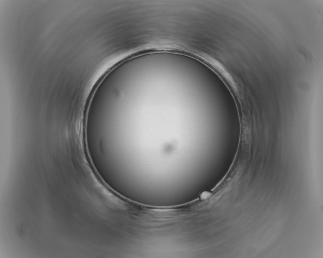 X0000113271343200909241535