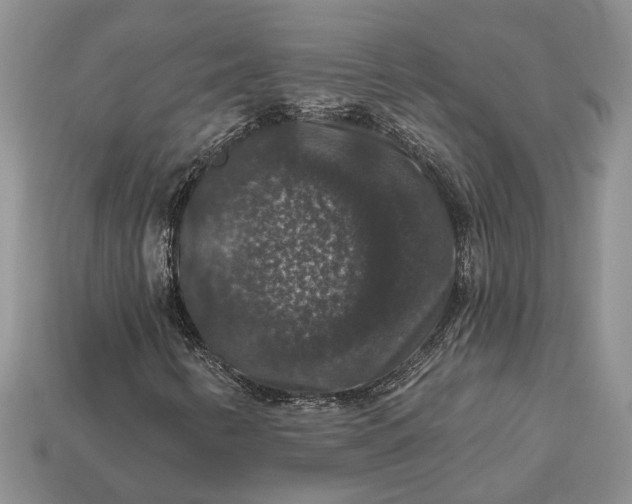 X0000113271346200909241535