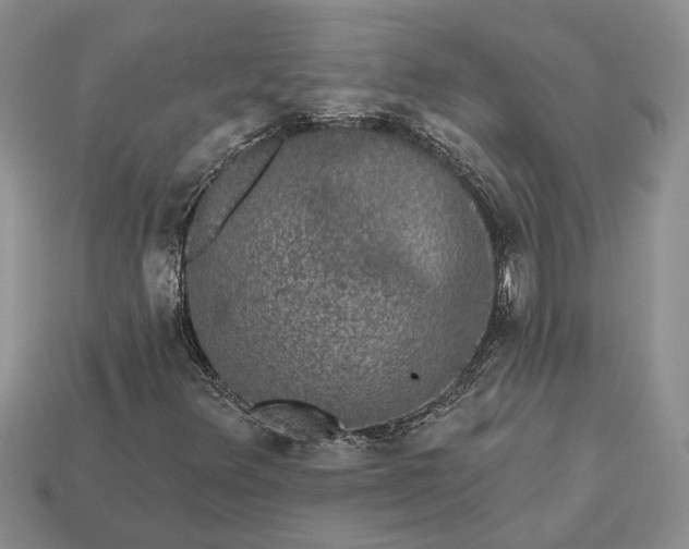 X0000113271348200909241535