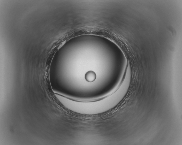 X0000113271349200909241535