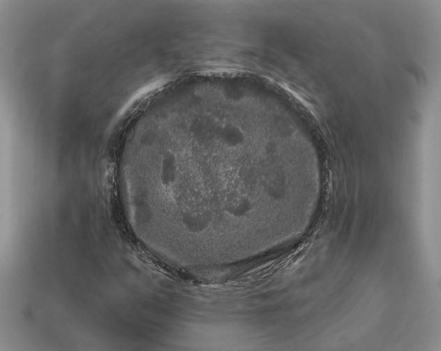 X0000113271351200909241535