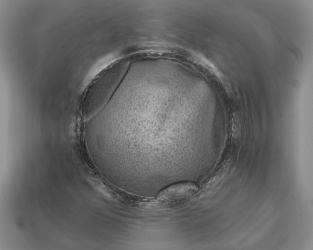 X0000113271352200909241534