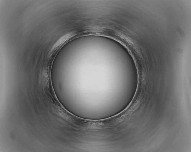X0000113271354200909241534
