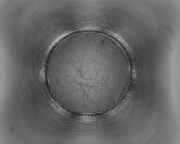 X0000113271356200909241534