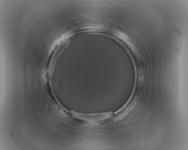 X0000113271357200909241534