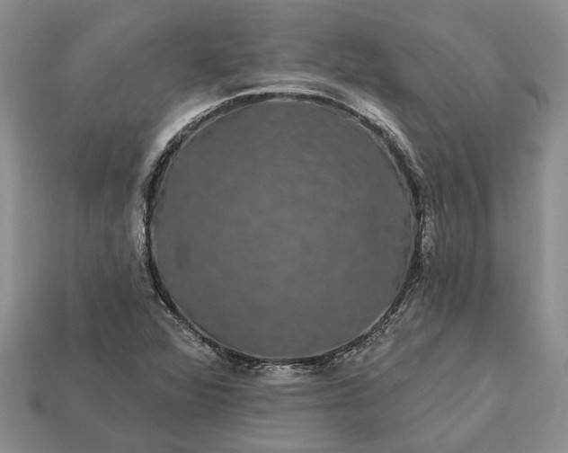 X0000113271360200909241534
