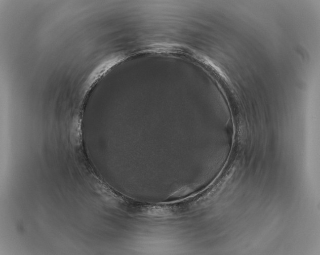 X0000113271362200909241534