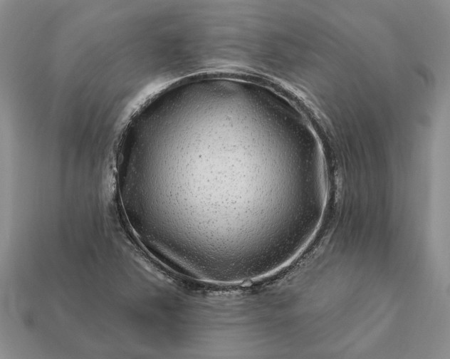 X0000113271363200909241534