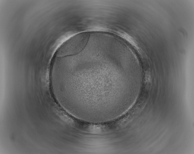 X0000113271364200909241534