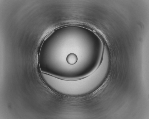 X0000113271365200909241534
