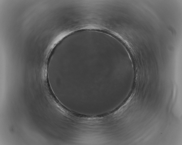 X0000113271367200909241534