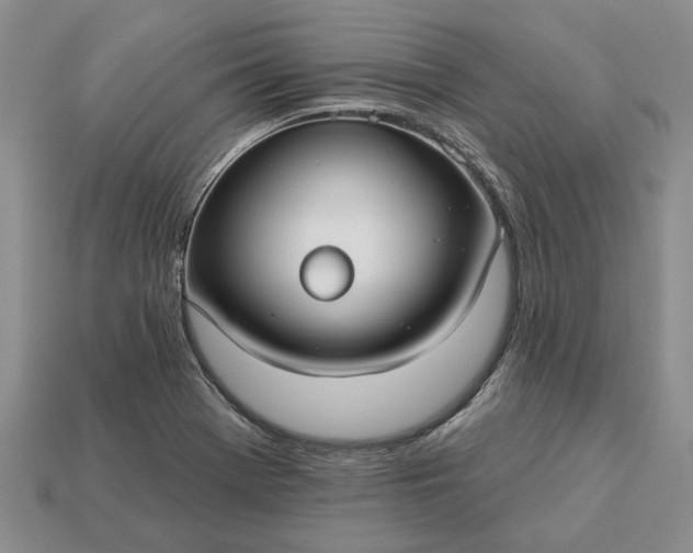 X0000113271369200909241534
