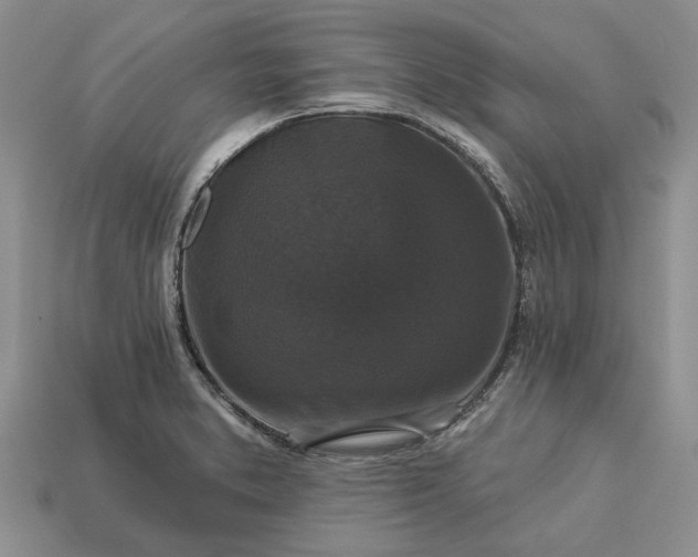 X0000113271373200909241534