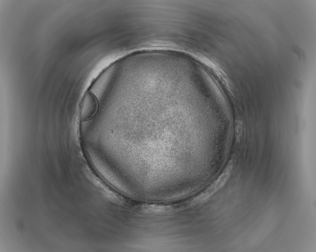 X0000113271374200909241534