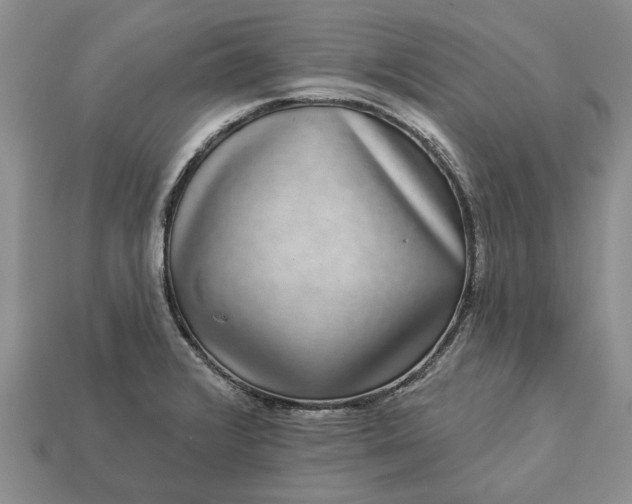 X0000113271376200909241534