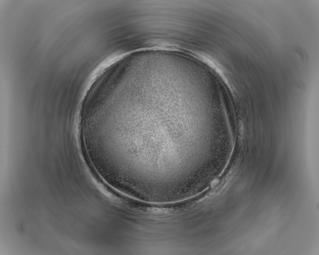 X0000113271379200909241534