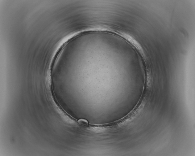X0000113271380200909241534