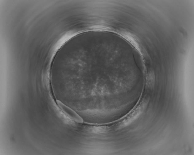 X0000113271381200909241534