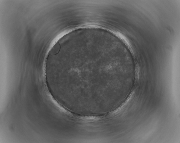 X0000113271382200909241534