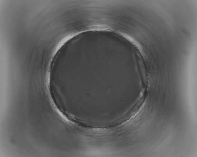 X0000113271383200909241534